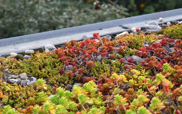 the cost of Newton Regis green roof installation