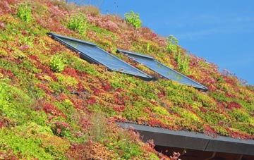 Newton Regis living roof systems